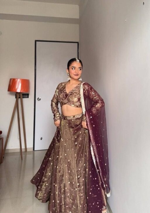 Bollywood Style Jimmy Choo Lehenga Set